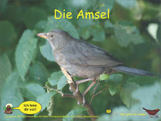Amsel-Kl-3-4-Ton.pdf